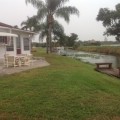 Large backyard